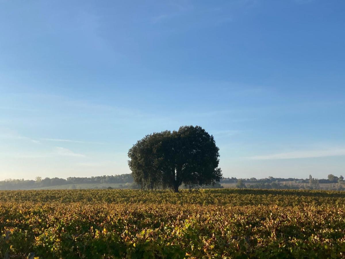Venez DormiR Chez Nous  #Condom#Gascogne#d'Artagnan#Armagnac#Le Bonheur est dans le GERS Exterior foto