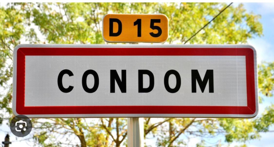 Venez DormiR Chez Nous  #Condom#Gascogne#d'Artagnan#Armagnac#Le Bonheur est dans le GERS Exterior foto